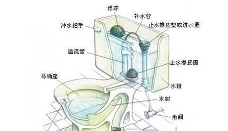 马桶不下水怎么解决？快速排查和解决方法有哪些？